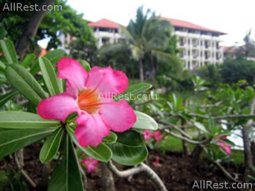 Ayodya Resort Bali 27